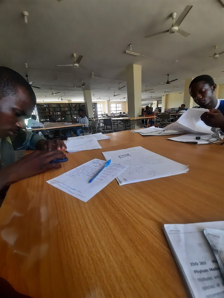 Ramat Library photo 3